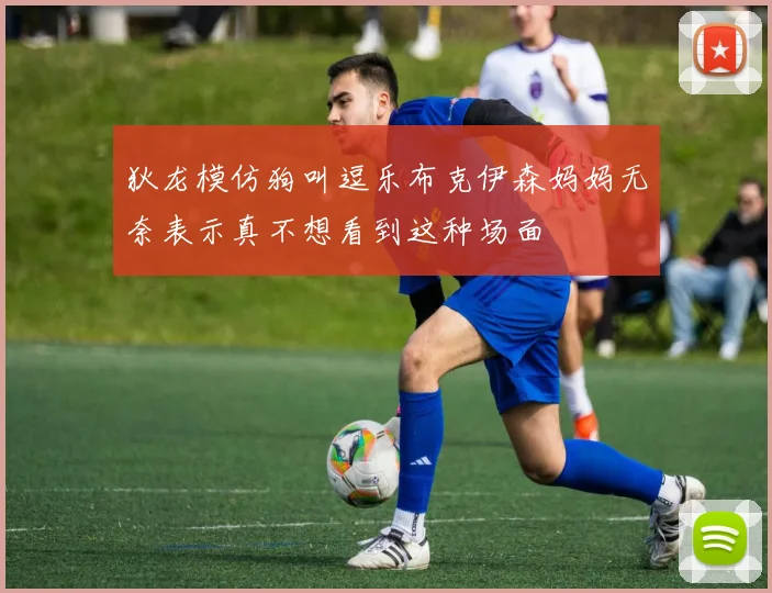 狄龙模仿狗叫逗乐布克伊森妈妈无奈表示真不想看到这种场面